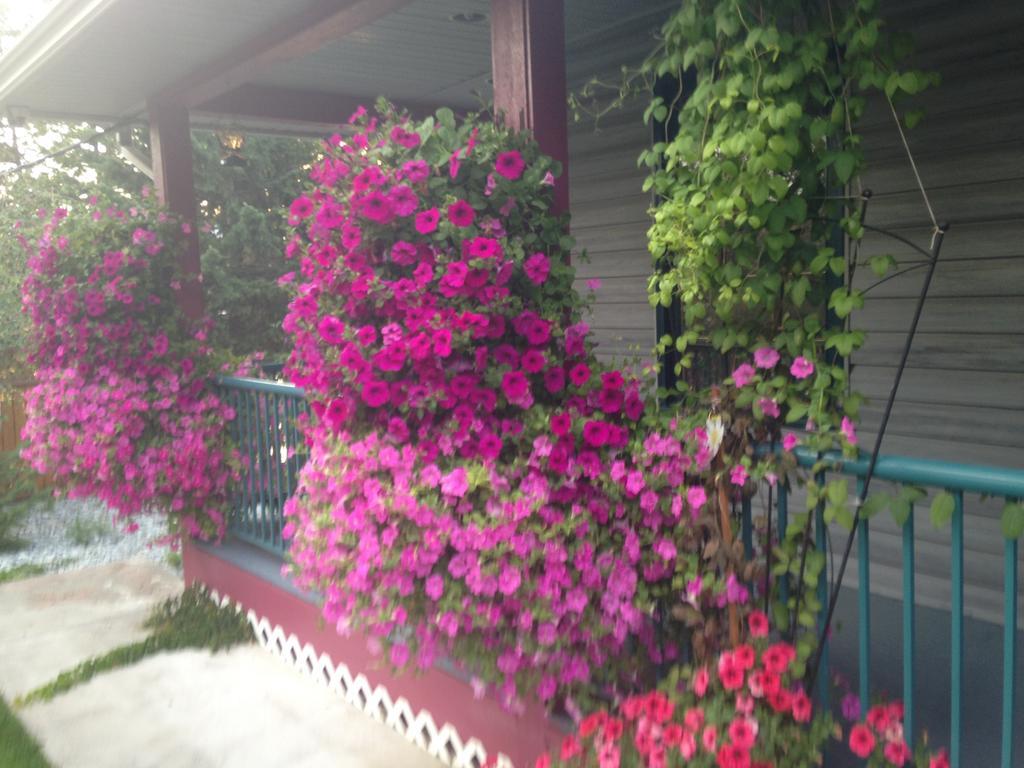 Eagle'S Nest B&B Lake Country Pokoj fotografie